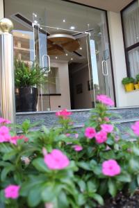 Fotografie z fotogalerie ubytování Hotel Villa Aljor v destinaci Golem