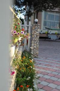 Zahrada ubytování Hotel Villa Aljor