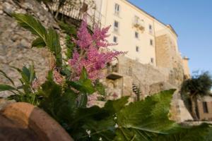 a pink flower in front of a building at Albergo Diffuso Sotto Le Stelle in Picinisco