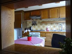Kuchyň nebo kuchyňský kout v ubytování Appartementhaus Mayrhofen by PiaundDirk