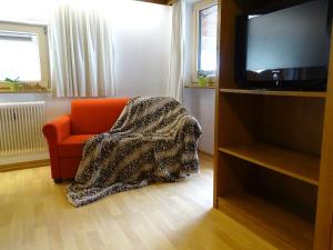 TV a/nebo společenská místnost v ubytování Appartementhaus Mayrhofen by PiaundDirk