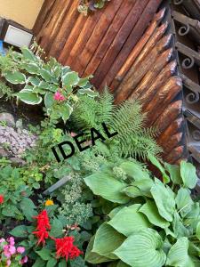 a garden with flowers and plants and a wooden fence at Ideal Hotel in Vinnytsya