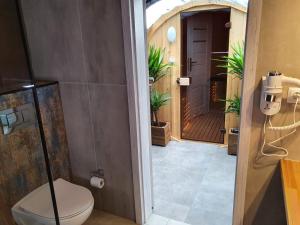 a bathroom with a toilet and a walk in shower at Podniebny Glamping in Borsk