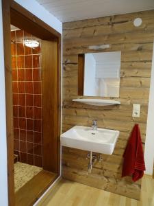 a bathroom with a sink and a mirror at Appartementhaus Mayrhofen by PiaundDirk in Mayrhofen