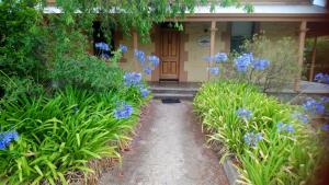 a pathway leading to a house with blue flowers at Walnut Cottage in Angaston