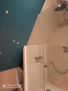 a shower with a glass door in a bathroom at La Colombine in Vascoeuil