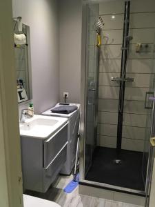 a bathroom with a shower next to a sink and a shower at L'AUBERGADE in Vittel