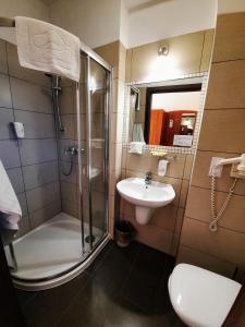 a bathroom with a shower and a sink and a toilet at Aneks Hotelu Kazimierz in Kraków