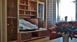 un salon avec une télévision à écran plat dans une armoire dans l'établissement Ferienwohnung in Celle, à Celle