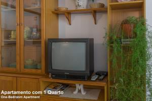 アルマカオ・デ・ペラにあるAkisol Armação Pera Beach IIの木製の娯楽センターに座ってテレビを見る