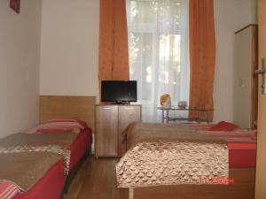 TV a/nebo společenská místnost v ubytování Pension Easy Journey