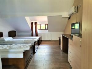 Una habitación de hospital con dos camas y un televisor. en Casa Muscelelor, en Pietroşani 59 fotos más