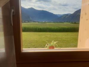 ein Fenster mit einer Topfpflanze mit Blick auf ein Feld in der Unterkunft Agriturismo Summus Lacus in Riva