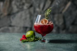 a drink in a glass with a lemon and berries at Napa Plaza Hotel (Adults Only) in Ayia Napa