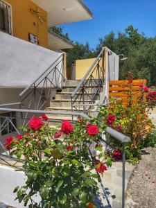 Φωτογραφία από το άλμπουμ του Artolithia Apartments  στα Ριζά +34 φωτογραφίες