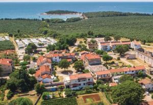 an aerial view of a village next to the ocean at Apartments Vojvoda in Poreč