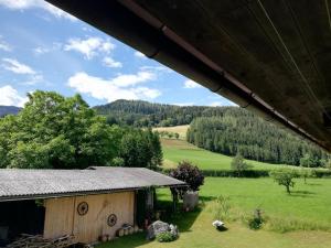 Příroda nedaleko apartmánu