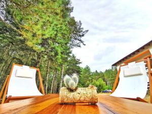 Zahrada ubytování Vallicciola Nature Hotel