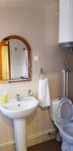 un bagno con lavandino, water e specchio di Ruzan hotel a Ijevan
