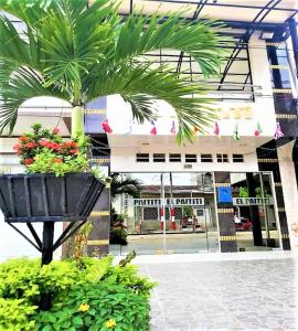 una palmera en una cesta frente a un edificio en El Paititi Hotel, en Iquitos