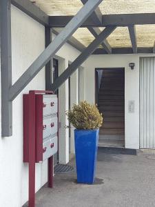 Un jarrón azul con una planta al lado de un edificio en Appartamenti Jurahof, en Däniken