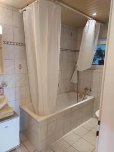 a bathroom with a bath tub with a shower curtain at Appartamenti Jurahof in Däniken