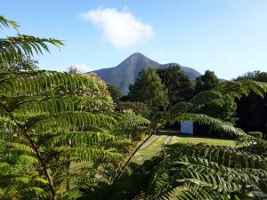 einen Blick auf den Dschungel mit einem Berg im Hintergrund in der Unterkunft Nadine's Self-Catering Accommodation in Stormsrivier