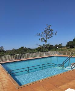 uma grande piscina com uma árvore ao fundo em Park Golf Hostel Ipelandia em Foz do Iguaçu