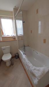 a bathroom with a toilet and a tub and a sink at Superb 2 Bedroom Flat in Inverness