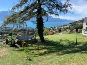 Paesaggio naturale nelle vicinanze dell'appartamento