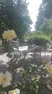 Zahrada ubytování Panos and Chrisas House