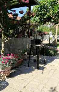 Zahrada ubytování Panos and Chrisas House + 30 fotografií
