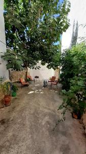 Zahrada ubytování Casa Rural Hotel La Placeta AYORA