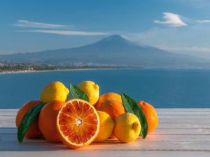 a pile of oranges sitting on top of a beach at Villaggio Albergo Internazionale La Plaja in Catania