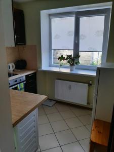 a kitchen with a window with a potted plant on a window sill at Holiday Apartment in Liepāja