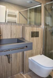y baño con aseo y lavamanos. en Aparthotel Essenzia de Castilla, en Aranda de Duero