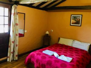 
a bedroom with a bed and a window at Jardin Las Hayas in Valle Gran Rey
