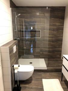 een badkamer met een toilet en een glazen douche bij Apartment Šelih in Maribor