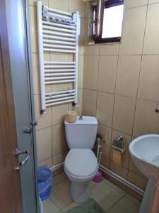 a bathroom with a toilet and a sink at Pensiunea Roua Diminetilor in Ruşca