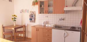 A kitchen or kitchenette at Relax in Črni Kal