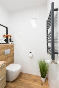 Kúpeľňa v ubytovaní Apartament Balticus Deluxe