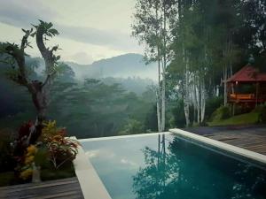 een zwembad met uitzicht op de bergen bij The Sidemen Villa in Sidemen