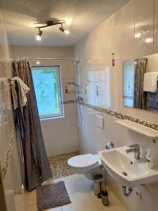 a bathroom with a sink and a toilet and a shower at Ferienhaus Gutedel in Freyburg