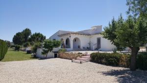 a white house with a tree and a gravel driveway at Casa Miralejos in Lliber