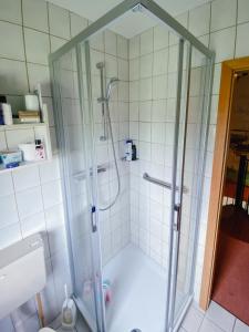 prysznic ze szklaną obudową w łazience w obiekcie Ferienhaus "Hygge Friedrichskoog-Spitze" w mieście Friedrichskoog