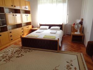 a bedroom with a bed and a large window at Kata apartment in Tolna