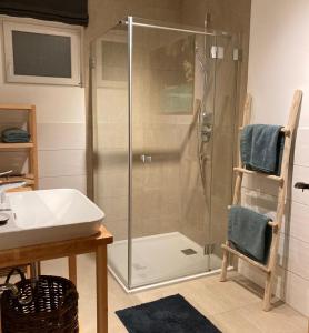 a bathroom with a shower and a sink at Zirben Appartement zwischen Berg und See in Steindorf am Ossiacher See