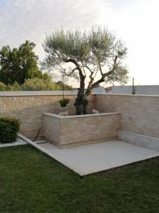 Vonkajšia záhrada v ubytovaní Villa Roza