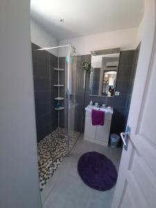 un baño con ducha y lavabo en Residence Sejoina, en Calcatoggio 48 fotos más