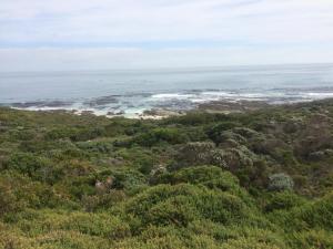 a view of the ocean from the top of a hill at EGRETS` ĂRK in Gansbaai